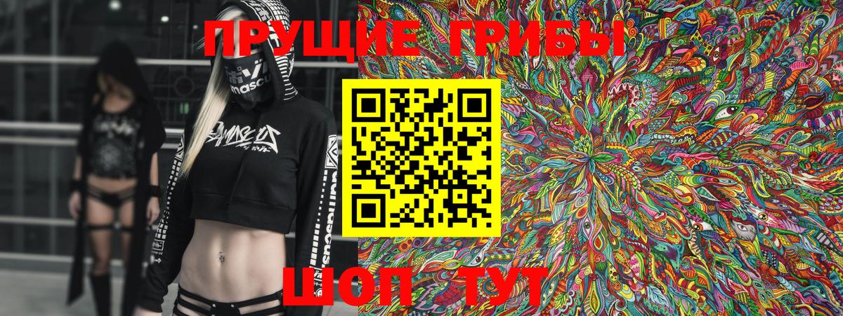 Галлюциногенные грибы Cubensis  Вход с VPN  Юрга 